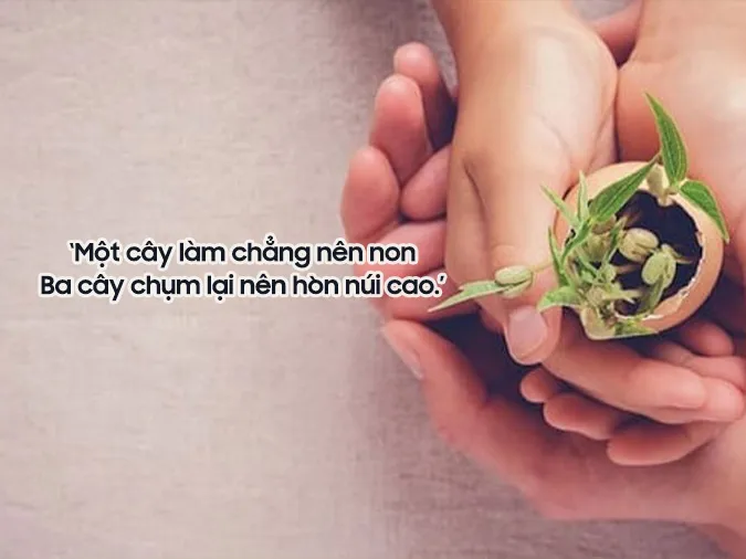 mot-con-ngua-dau-ca-tau-bo-co-voh-4