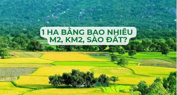 bên cạnh ha, còn nhiều đơn vị đo diện tích khác