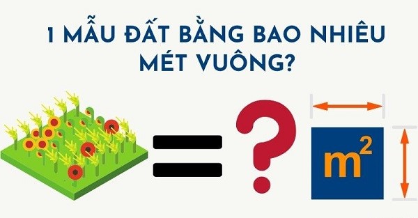 Mẫu, công, sào là đơn vị đo diện tích tại một số vùng miền