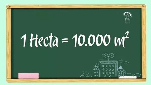 Giải đáp 1ha bằng 10000m2