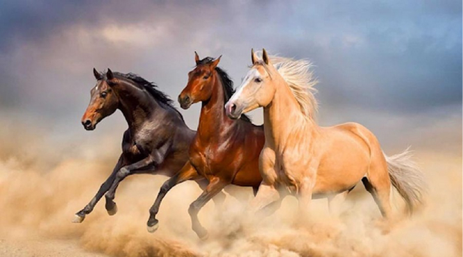 12 tuoi sinh nam bao nhieu