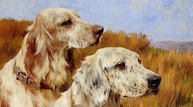 1994 nam nay bao nhieu tuoi am