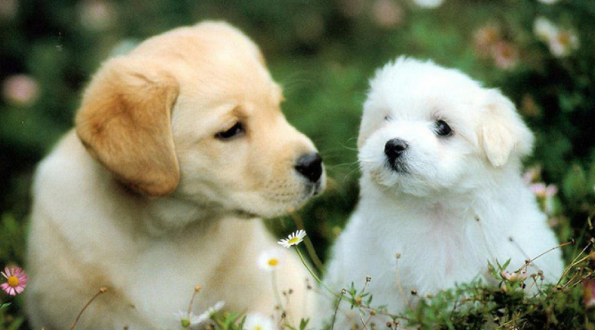 2006 la bao nhieu tuoi nam 2022 1