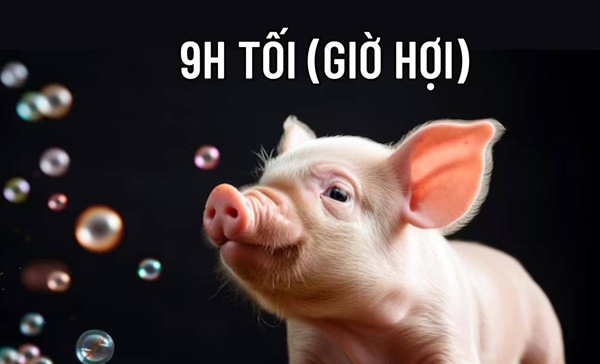 9h tối giờ Hợi