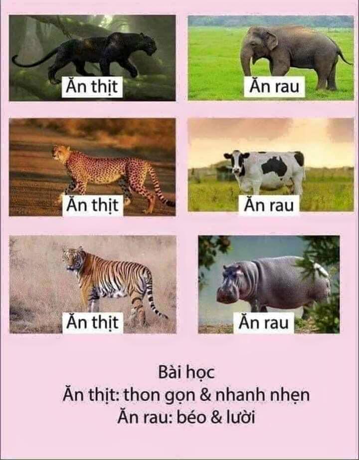 anh che buon ban e am 18