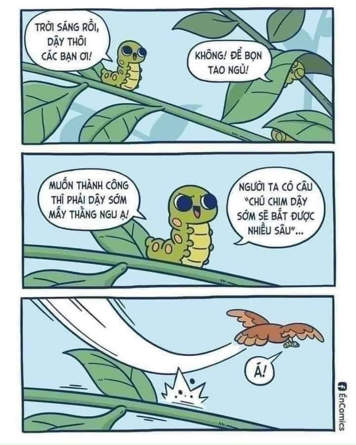 anh che buon ban e am 19