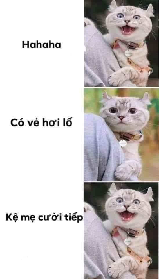 anh che buon ban e am 5