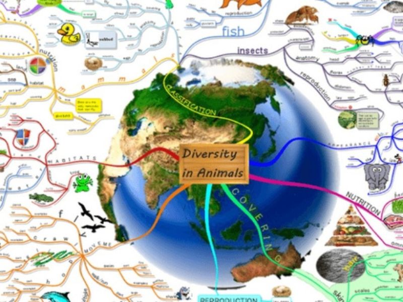 b02 gom nhung mon nao 1