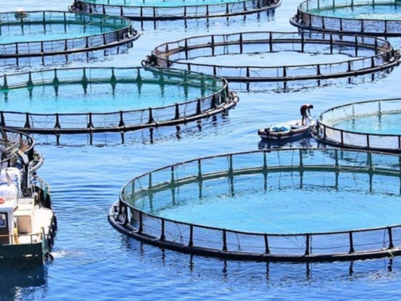 b02 gom nhung mon nao 3