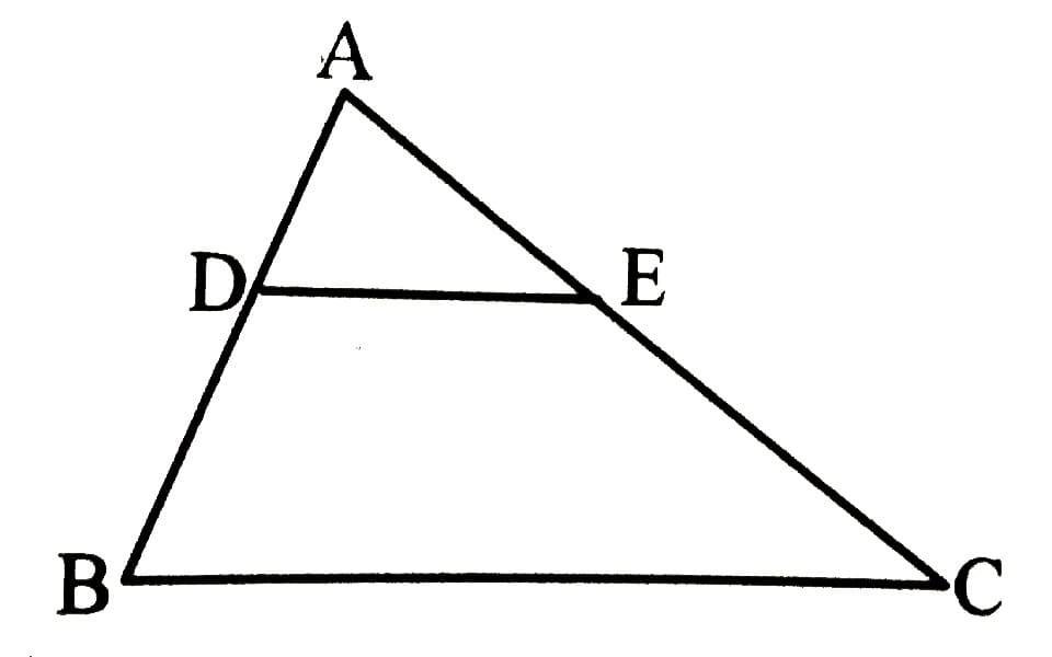 Định lí Talet trong tam giác