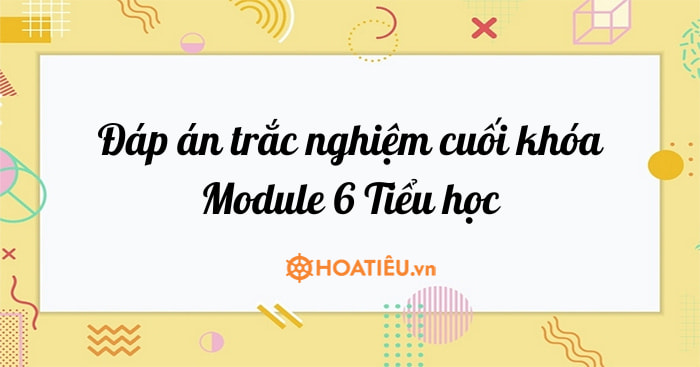 Đáp án trắc nghiệm Module 6 Tiểu học