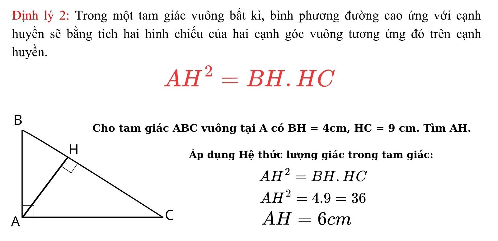 Hệ thức lượng trong tam giác vuông lớp 8