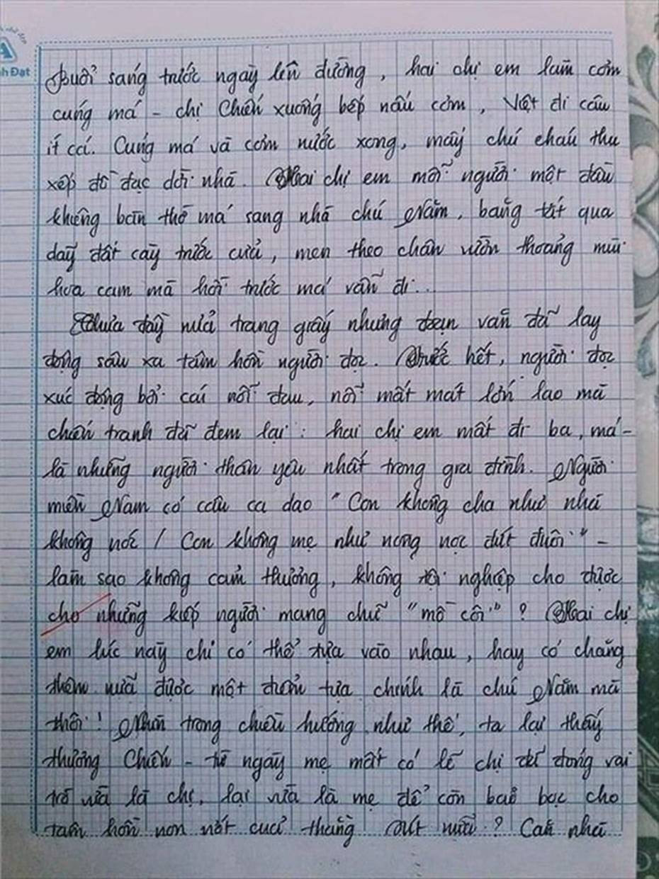 Nam sinh gây sốt với bài văn dài 18 trang, cô giáo đọc xong không biết phải phê gì vì quá xuất sắc!-8
