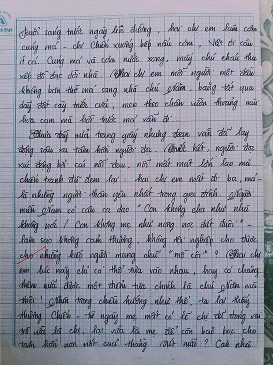Nam sinh gây sốt với bài văn dài 18 trang, cô giáo đọc xong không biết phải phê gì vì quá xuất sắc!-9