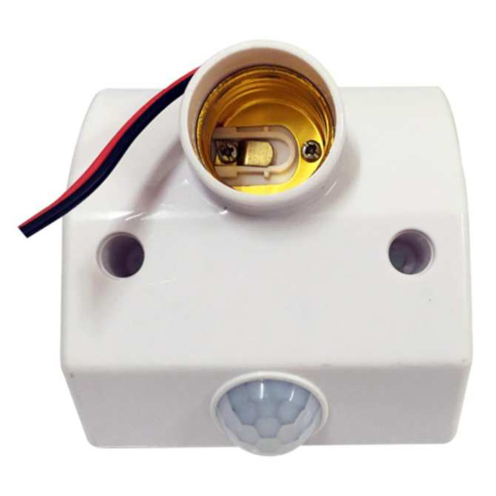 bi duoi hay bi dui 2