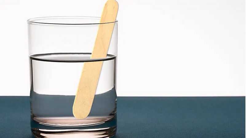 bien do song la gi 1