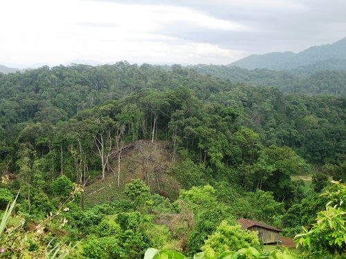 Ảnh minh họa: Nguyễn Việt Dũng/PanNature