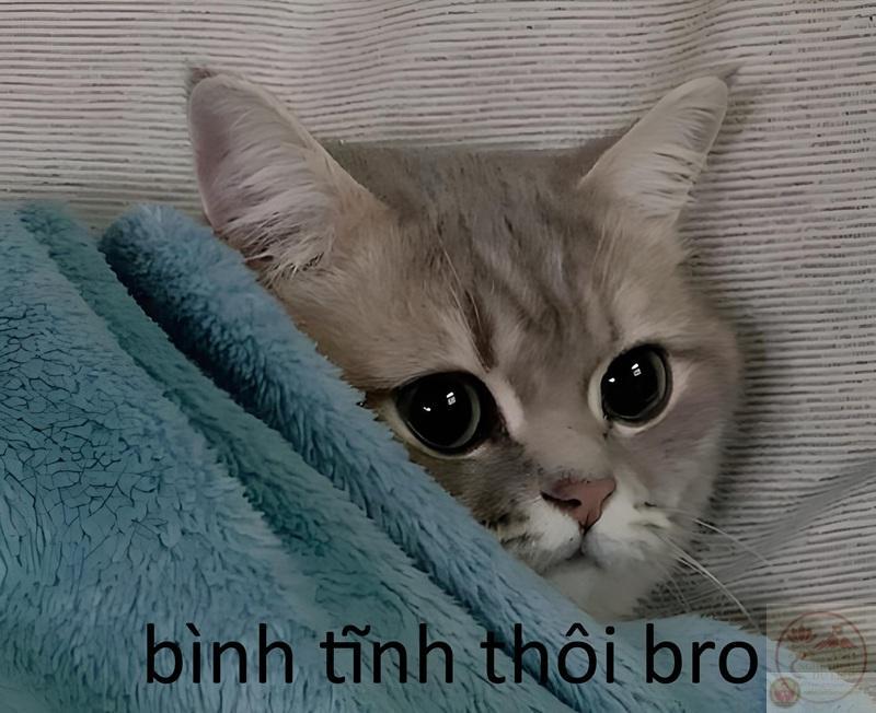 meme bình tĩnh 26