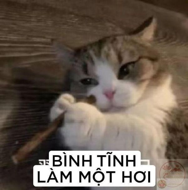 bình tĩnh nào meme