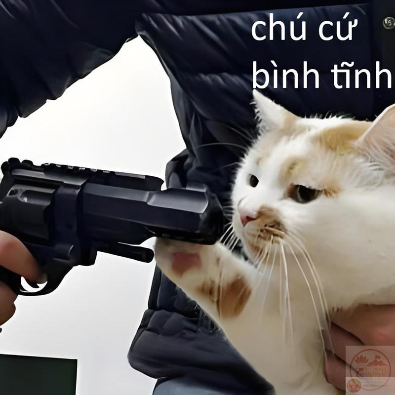 meme bình tĩnh 12