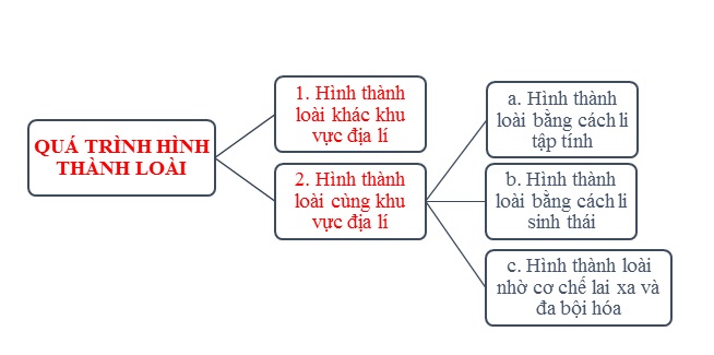 Sơ đồ quá trình hình thành loài