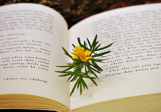 Soạn bài môn văn