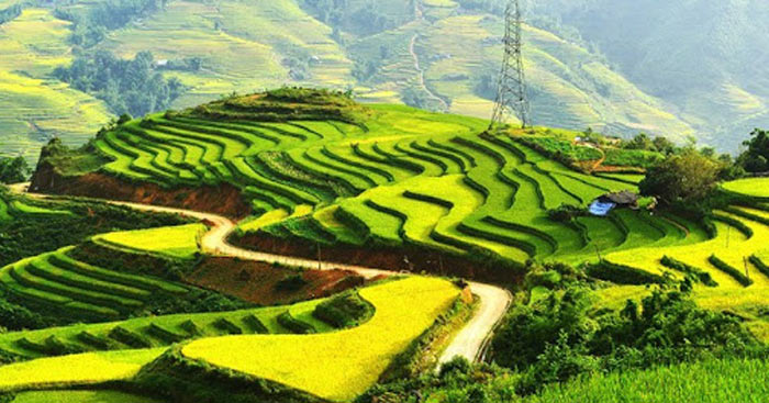 Cảm nhận Đất Nước