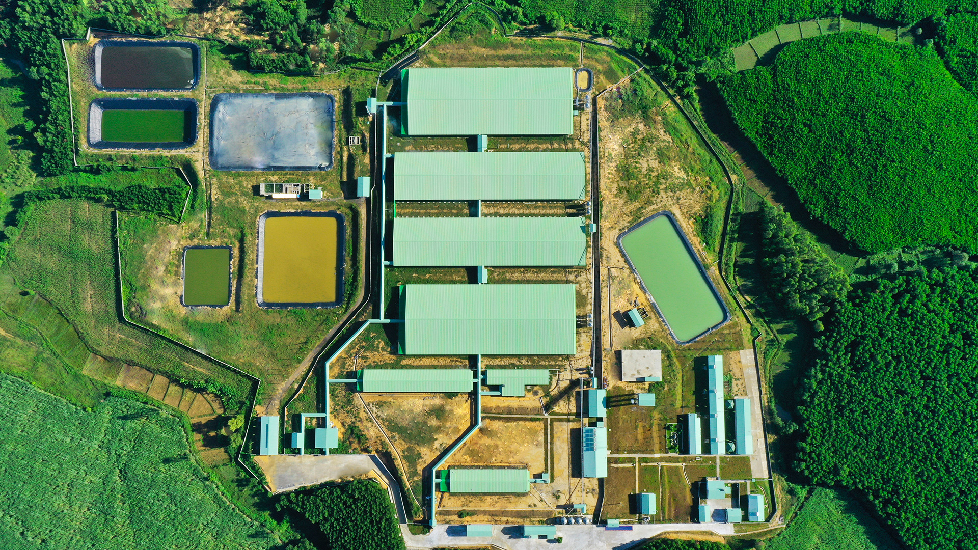 Chúng ta cạnh tranh bằng gì nếu không phải là thế mạnh của đất nước