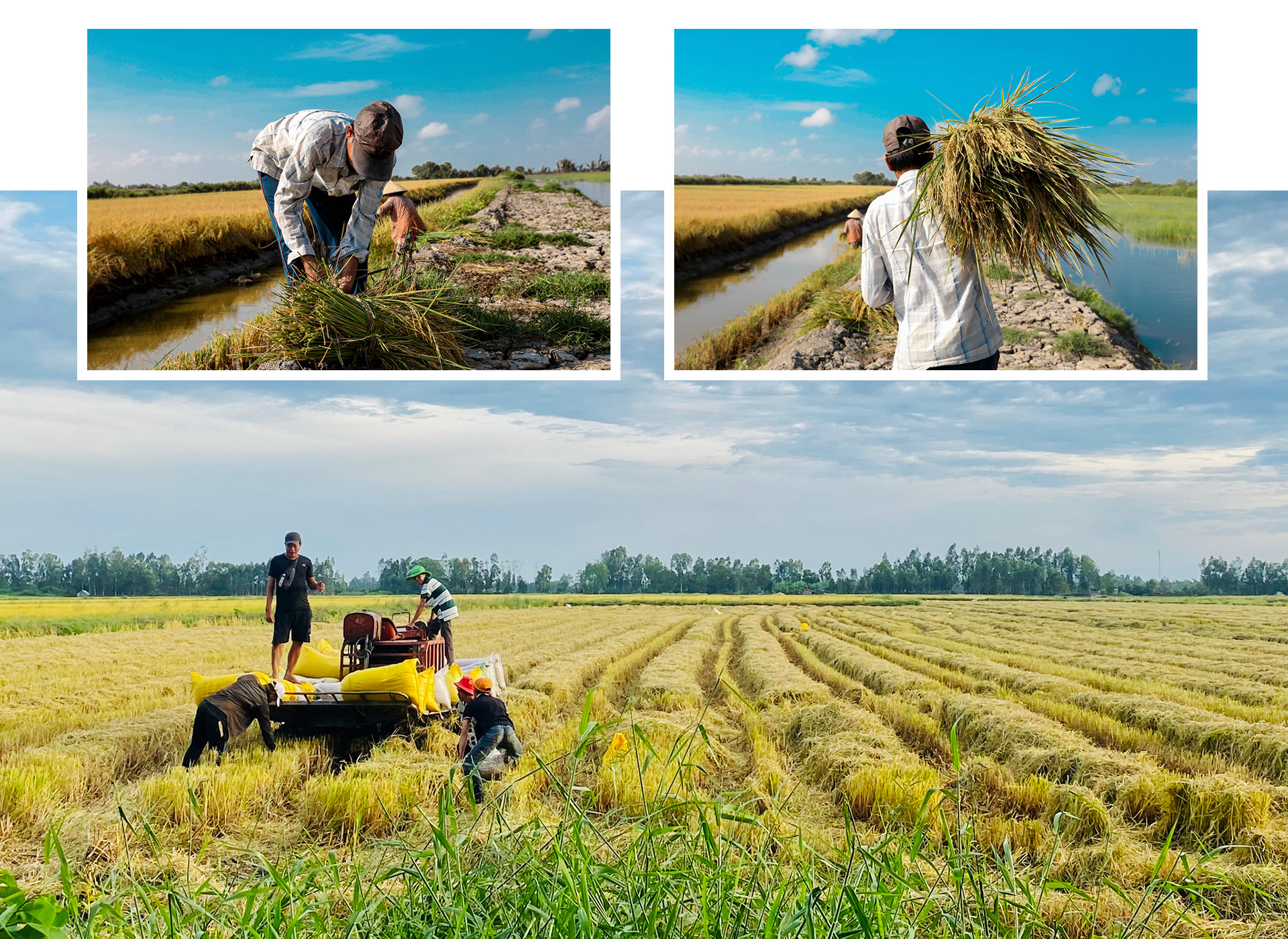 Chủ tịch HĐQT Tập đoàn Tân Long Trương Sĩ Bá: Chúng ta cạnh tranh bằng gì nếu không phải là thế mạnh của đất nước? - Ảnh 9.