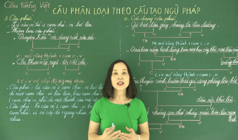 Phân loại câu phức trong tiếng Việt. (Ảnh: Sưu tầm Internet)