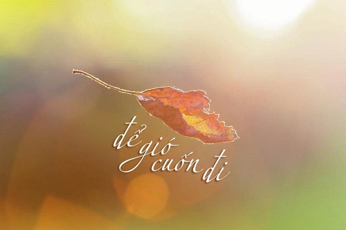 Tổng hợp những câu cap hay về cuộc sống vui vẻ hay