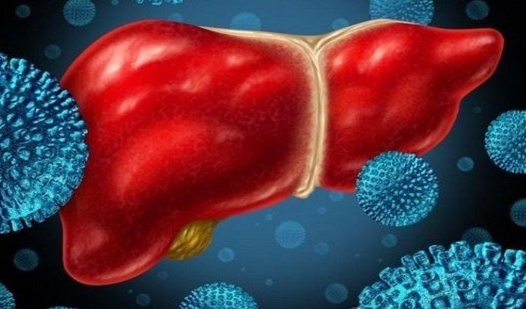 Enzyme giúp gan thực hiện chức năng giải độc