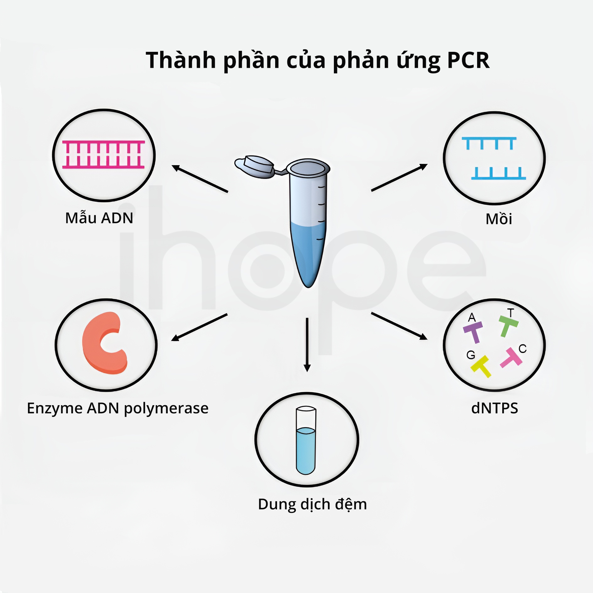 Thành Phần Của Phản ứng Pcr