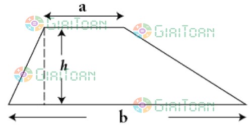 Chu vi và diện tích hình thang: Công thức và bài tập