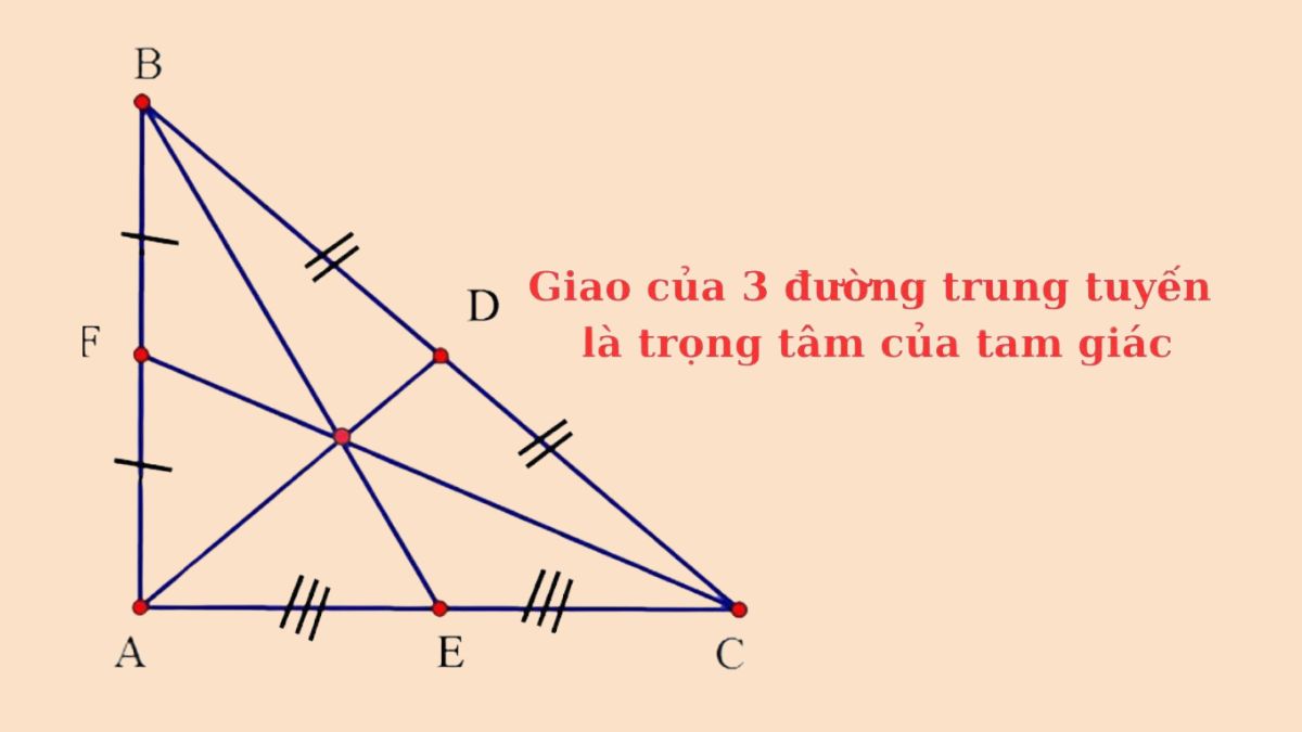 Đường trung tuyến trong tam giác