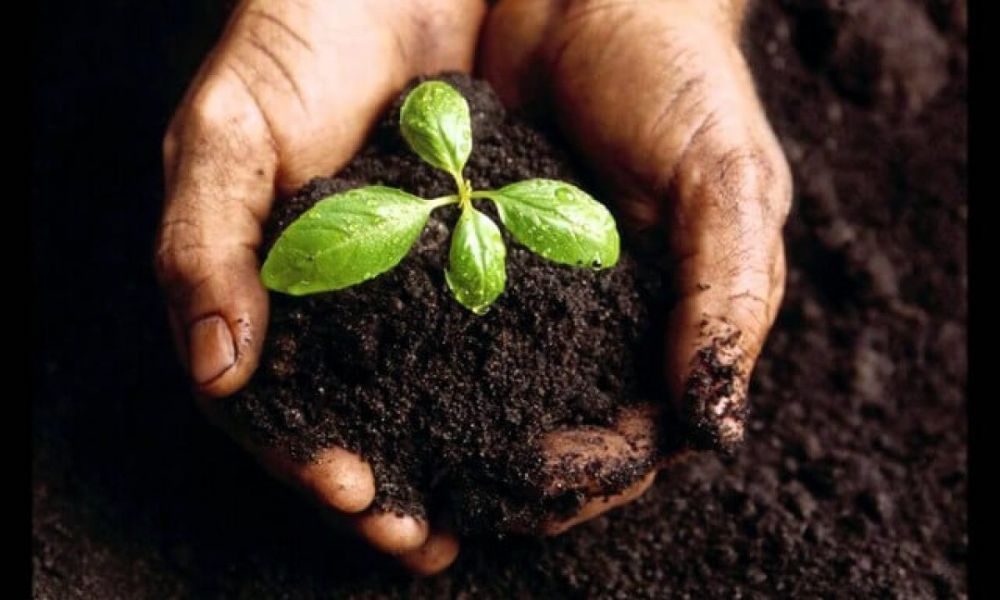 Đất trồng có những tính chất gì?