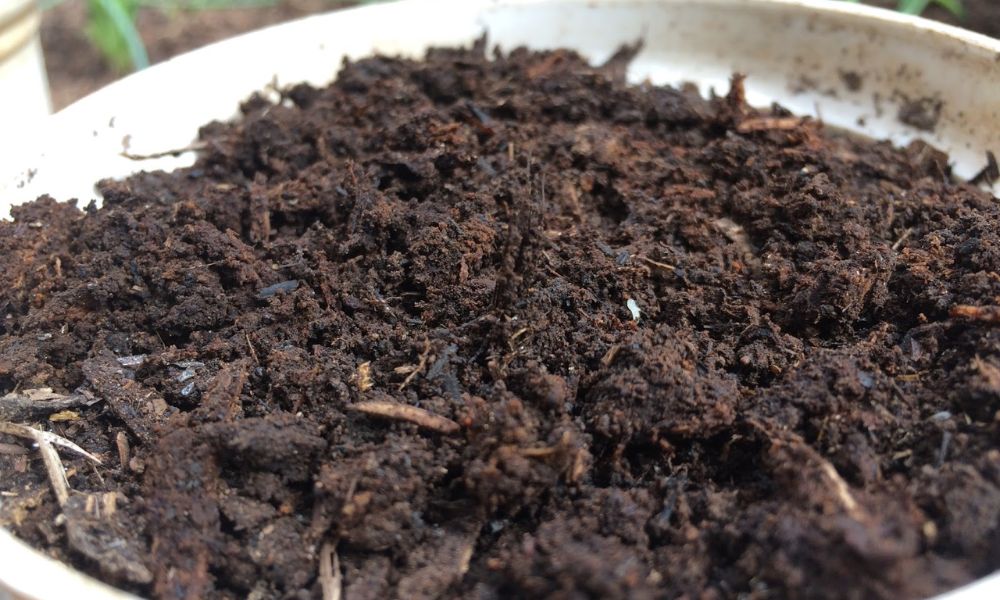 Đất thịt là loại đất được hình thành từ sự kết hợp của ba loại đất