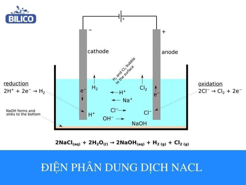 điện phân dung dịch NaCl