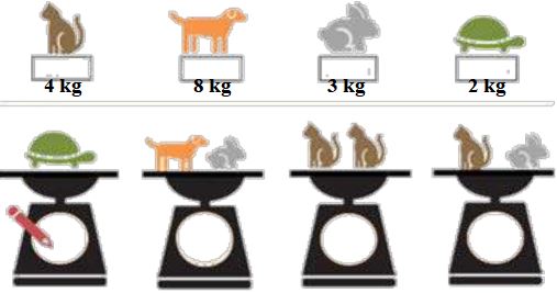 Đề thi Toán lớp 2 học kì 2 sách Kết nối tri thức