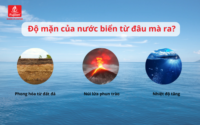 Độ mặn của nước biển từ đâu mà ra?