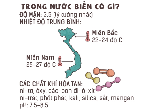 do-man-trung-binh-cua-bien-dong