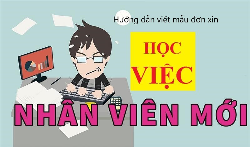 Đơn xin học việc khác với đơn xin việc