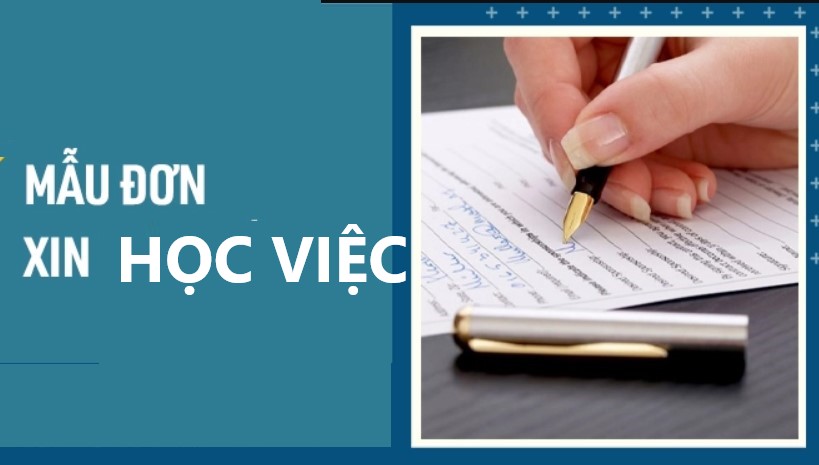 Viết đơn xin học việc hiệu quả