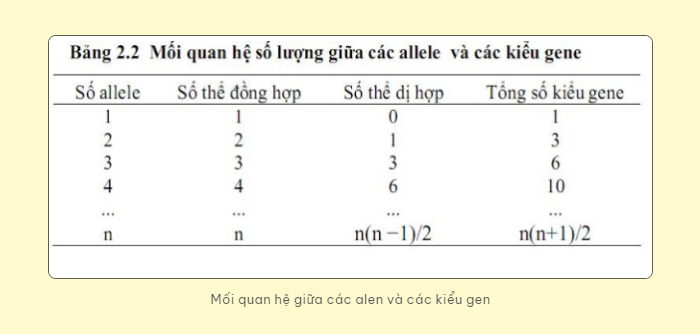 gen khong alen la gi 1