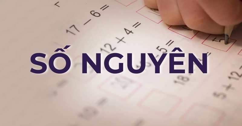 Số nguyên trong toán học