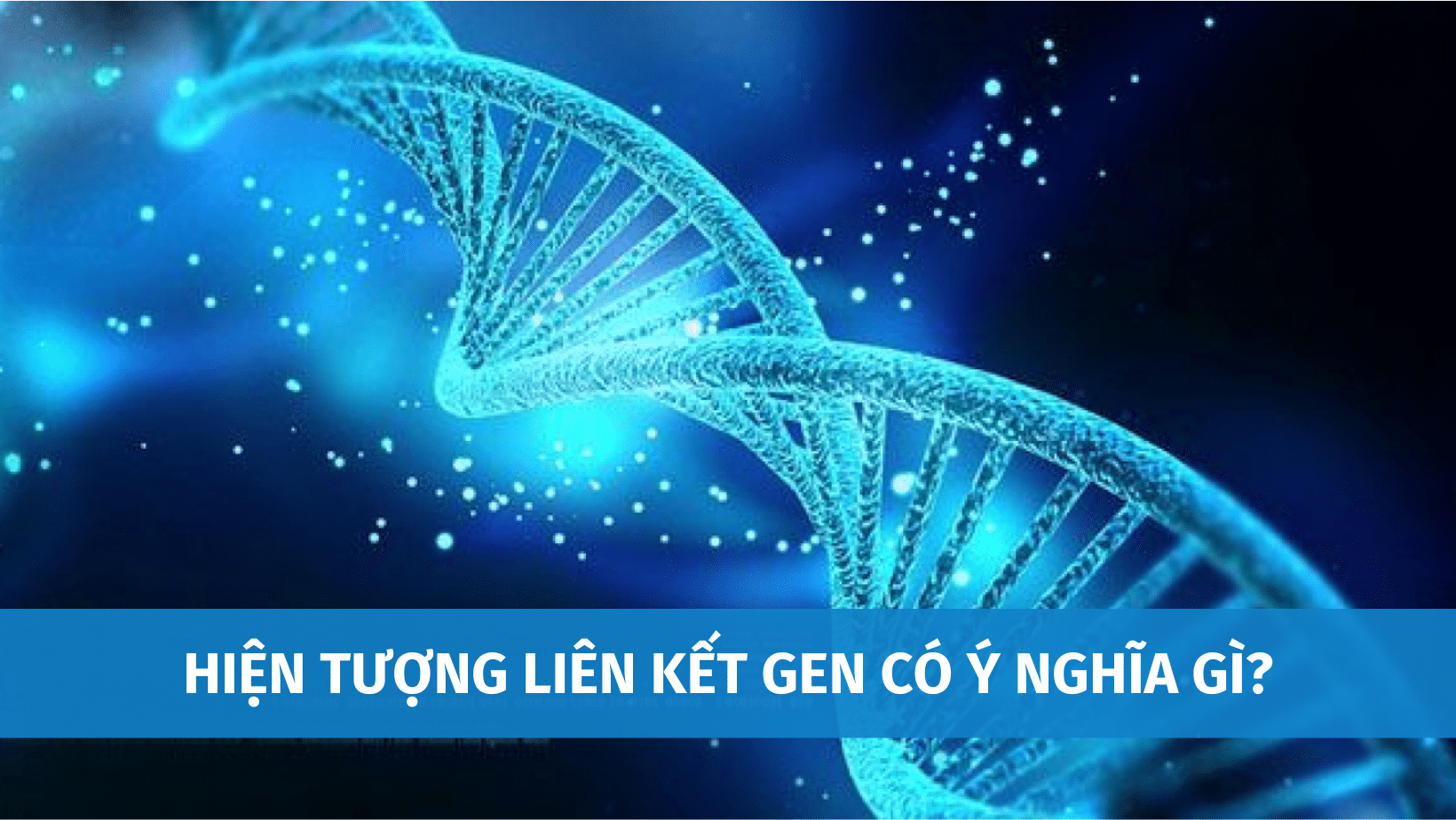 hiện tượng liên kết gen có ý nghĩa