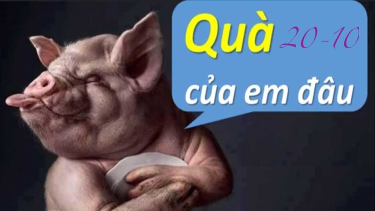 Hình ảnh 20/10 ngộ nghĩnh