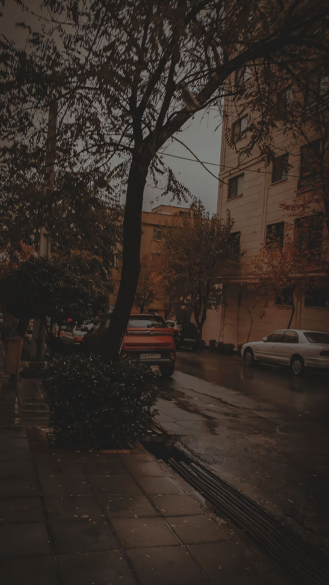 con duong uot duoi anh chieu tram mac buon 1920px 1080px full hd