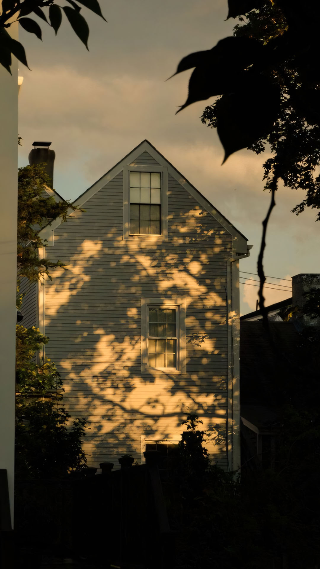 ngoi nha phu bong la yen a chieu ta 1920px 1080px full hd