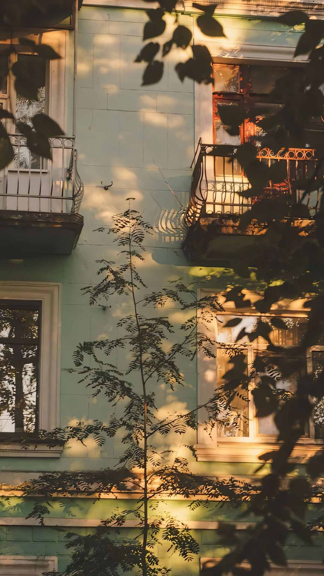 cong nha co ben bong cay vang am ap 1920px 1080px full hd